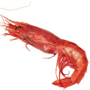 คุณชายโบตั๋น