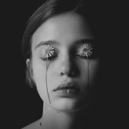 สมาชิกหมายเลข 5499475