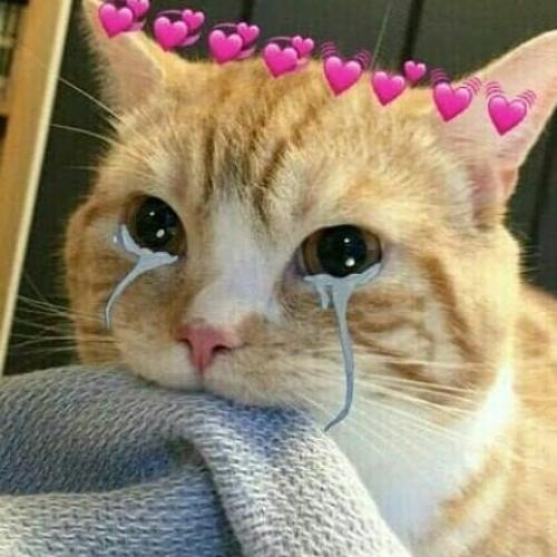 สมาชิกหมายเลข 5980889