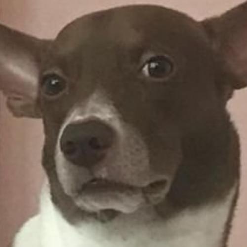 สมาชิกหมายเลข 6042326