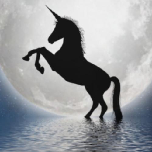 สมาชิกหมายเลข 6657678