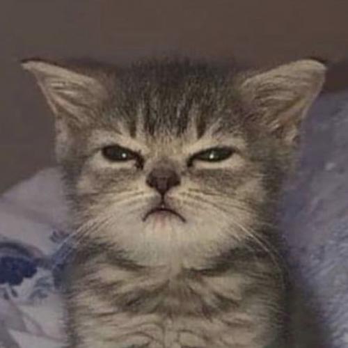 สมาชิกหมายเลข 3063587