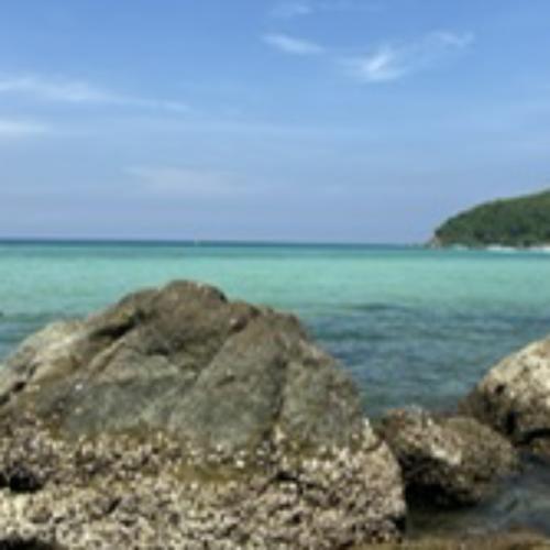 สมาชิกหมายเลข 3281829