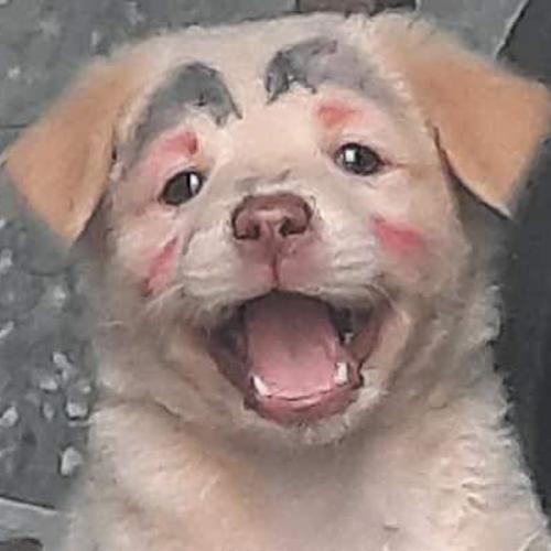 สมาชิกหมายเลข 7208560