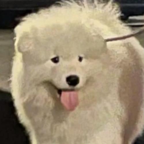 สมาชิกหมายเลข 2310150