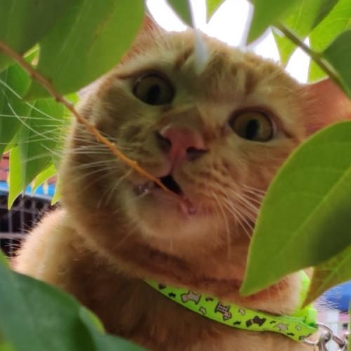 สมาชิกหมายเลข 4257301