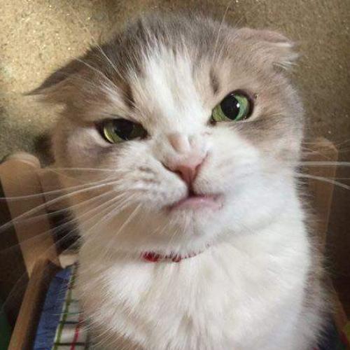 สมาชิกหมายเลข 2970879