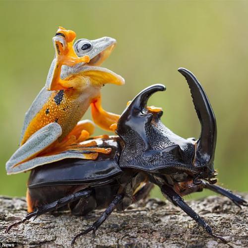 สมาชิกหมายเลข 4719177