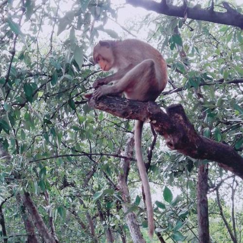 สมาชิกหมายเลข 4734501