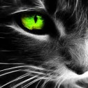 สมาชิกหมายเลข 4735211