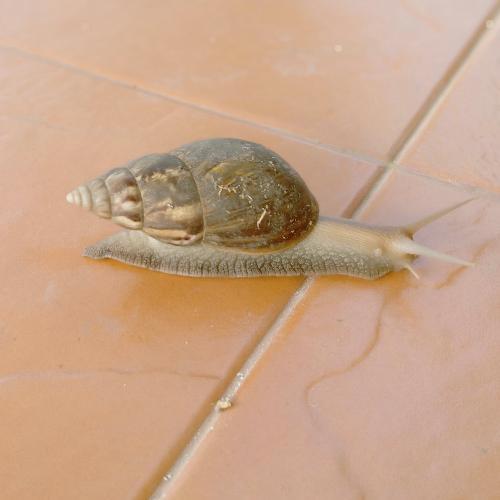 สมาชิกหมายเลข 5049774