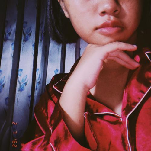 สมาชิกหมายเลข 5109081