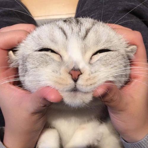 สมาชิกหมายเลข 3737981