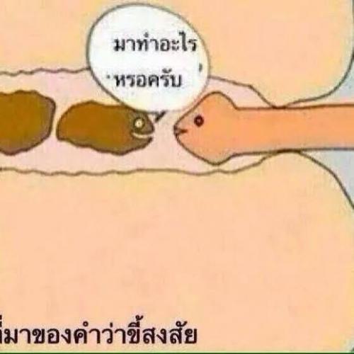 สมาชิกหมายเลข 4377543