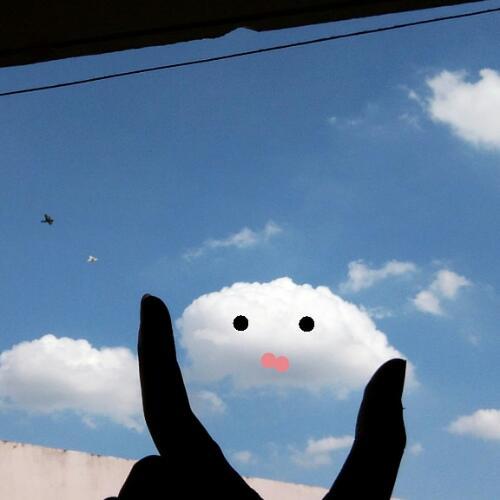 สมาชิกหมายเลข 5222999