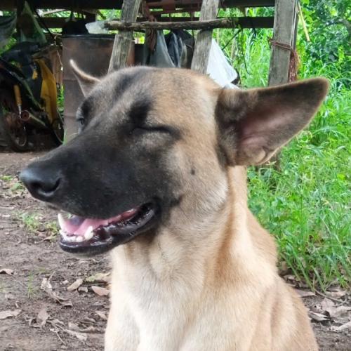 สมาชิกหมายเลข 6658415