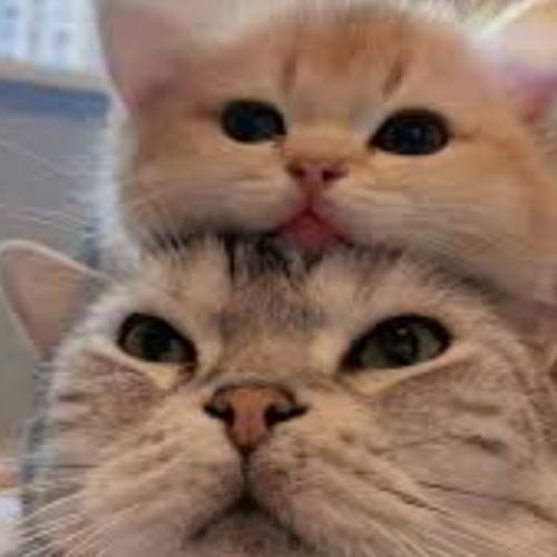 สมาชิกหมายเลข 6659055