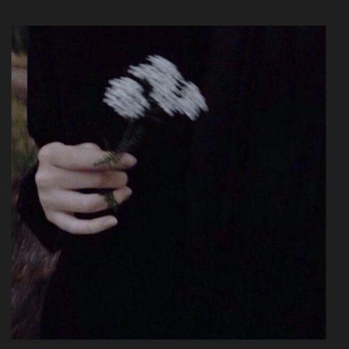 สมาชิกหมายเลข 4335203