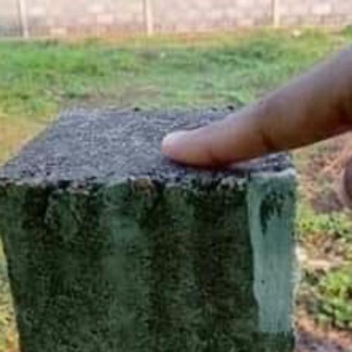 สมาชิกหมายเลข 8293361