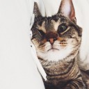 สมาชิกหมายเลข 2717994