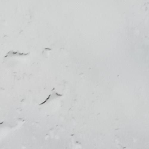 สมาชิกหมายเลข 4380139