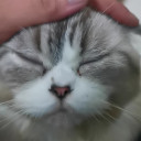 สมาชิกหมายเลข 2078885