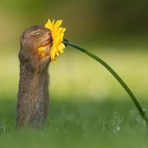 สมาชิกหมายเลข 3950841