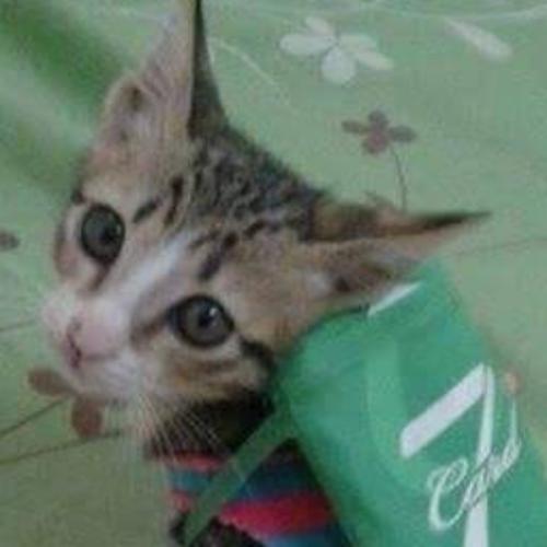 สมาชิกหมายเลข 2752923