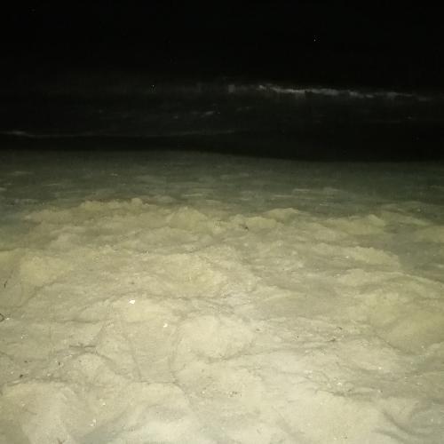 สมาชิกหมายเลข 6043648