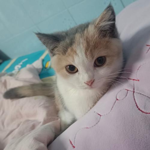 สมาชิกหมายเลข 7407445