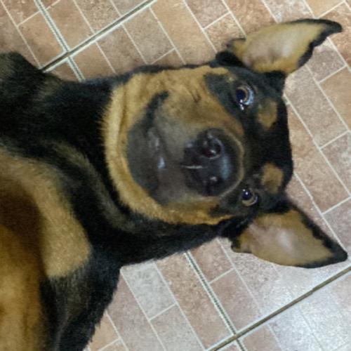 สมาชิกหมายเลข 8294850