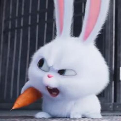 สมาชิกหมายเลข 2957813