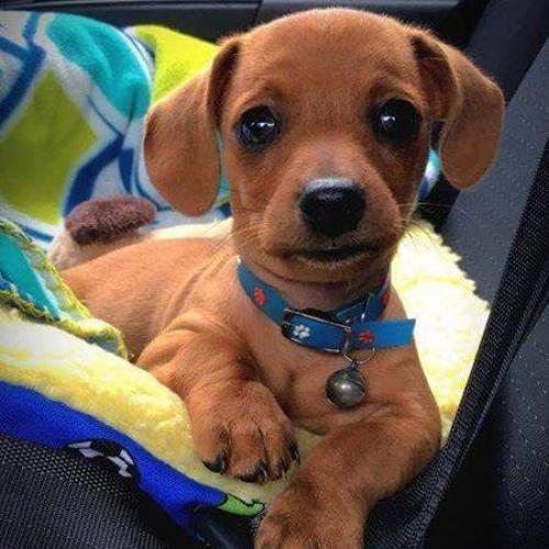 สมาชิกหมายเลข 3750404