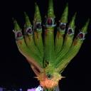 สมาชิกหมายเลข 4373377