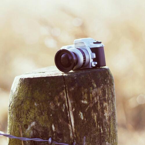 สมาชิกหมายเลข 2342994