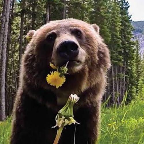 สมาชิกหมายเลข 5110075