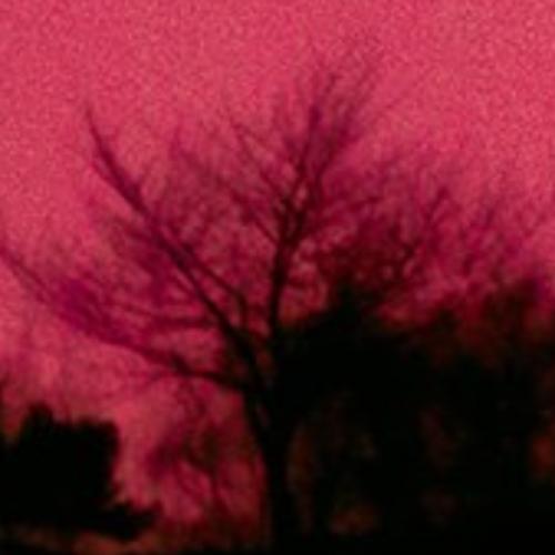 สมาชิกหมายเลข 6018158