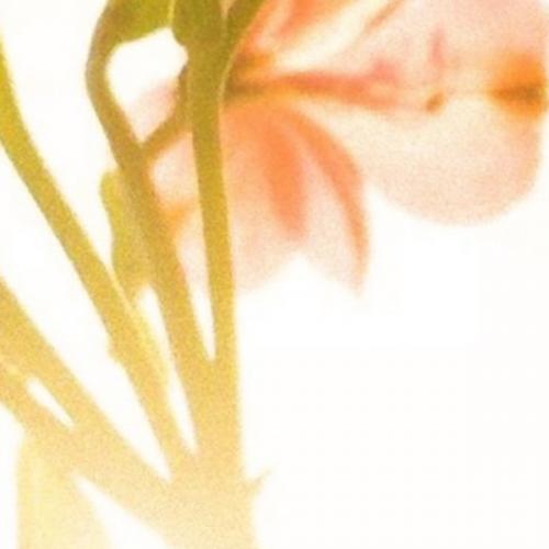 สมาชิกหมายเลข 6018169