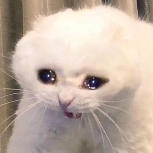 สมาชิกหมายเลข 6043930