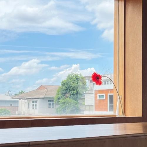 สมาชิกหมายเลข 3939019