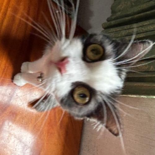 สมาชิกหมายเลข 8013972