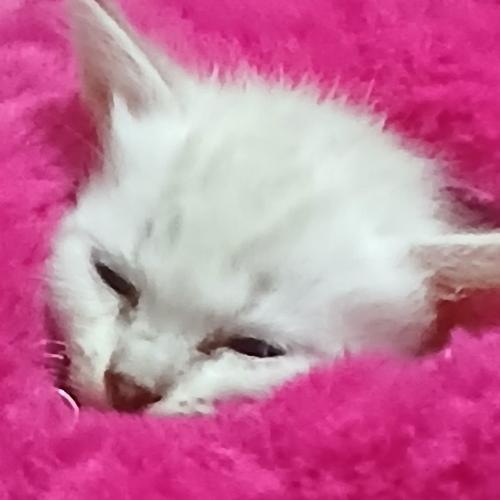 สมาชิกหมายเลข 9058074