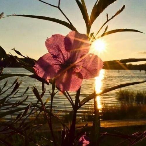 สมาชิกหมายเลข 9296869