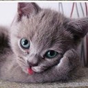 สมาชิกหมายเลข 3906050