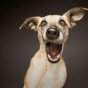 สมาชิกหมายเลข 4302956