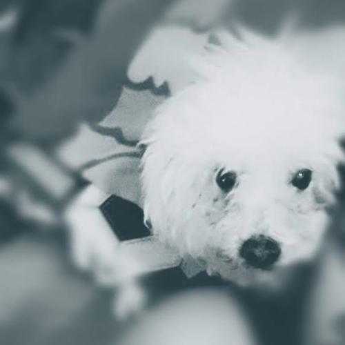 สมาชิกหมายเลข 6044634