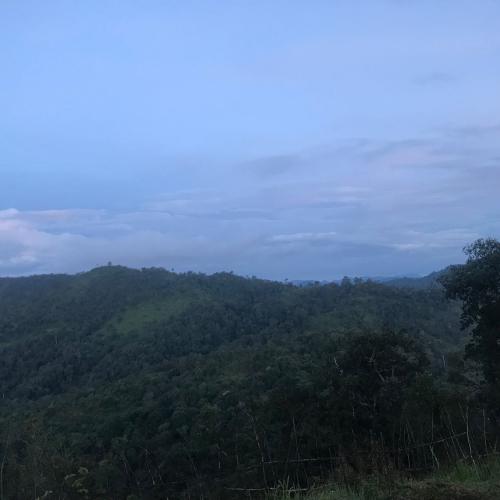 สมาชิกหมายเลข 3393655