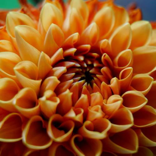 สมาชิกหมายเลข 6660479