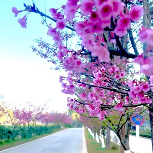 สมาชิกหมายเลข 5215569