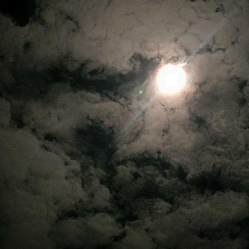 สมาชิกหมายเลข 7215979